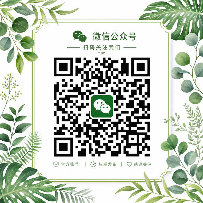 抖音风公众号